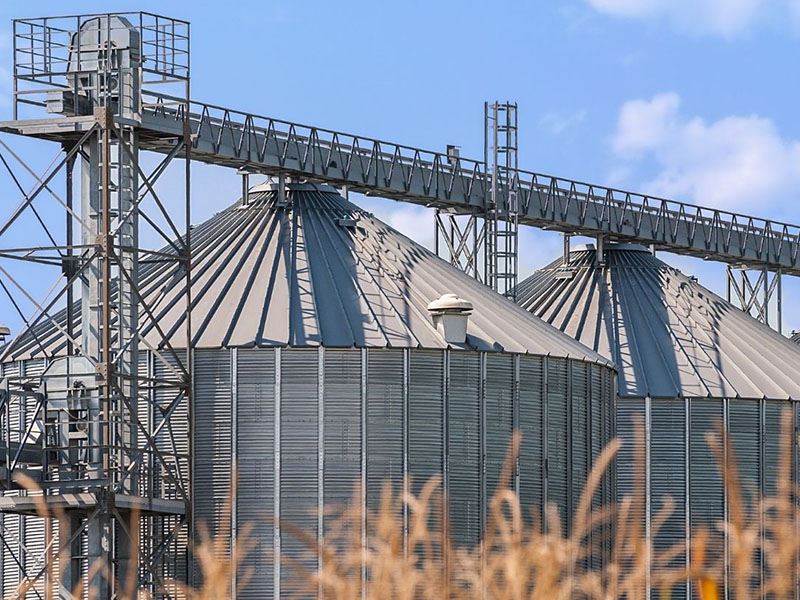 Agriculture