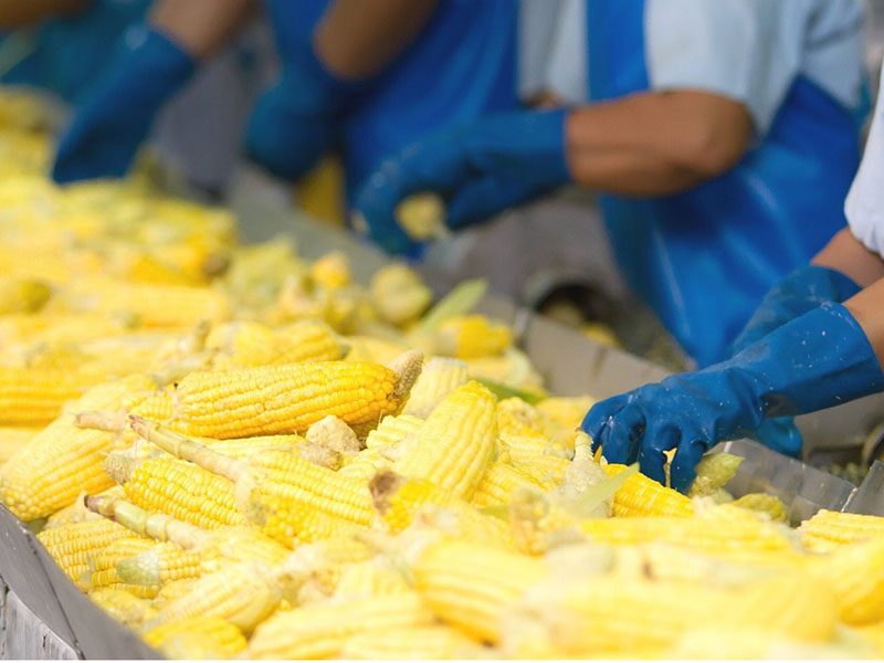 Food Processing